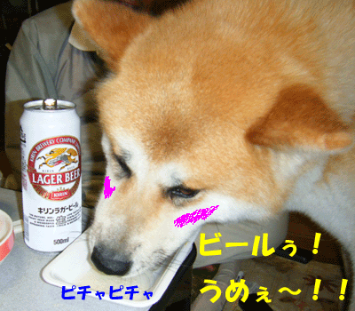 f0008935_115397.gif