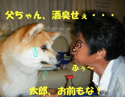 f0008935_12796.gif