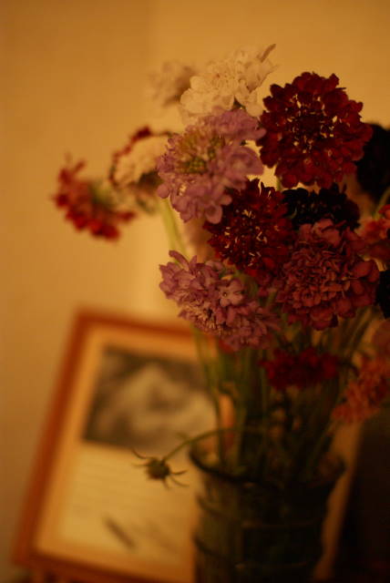 b0117437_21522740.jpg