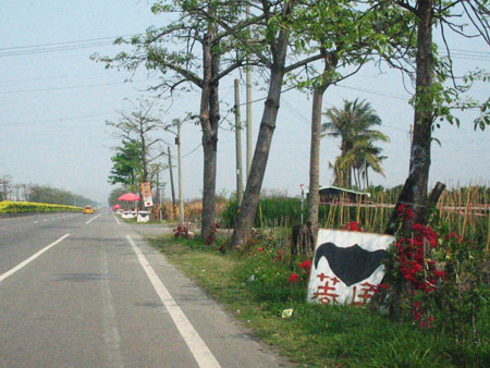 a0023740_1792797.jpg