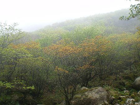 c0042847_23502197.jpg