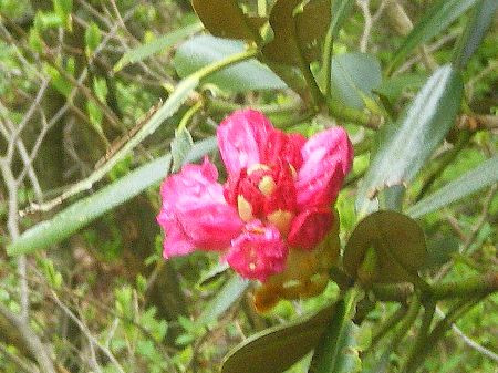 c0042847_235119100.jpg