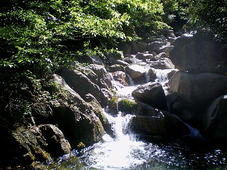 c0042847_23524447.jpg