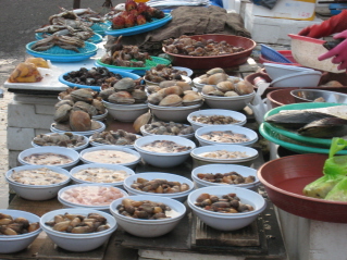 c0145449_220275.jpg