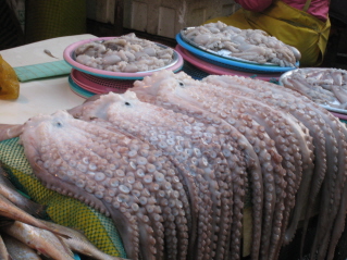 c0145449_2203475.jpg