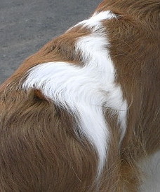 d0013149_9272411.jpg