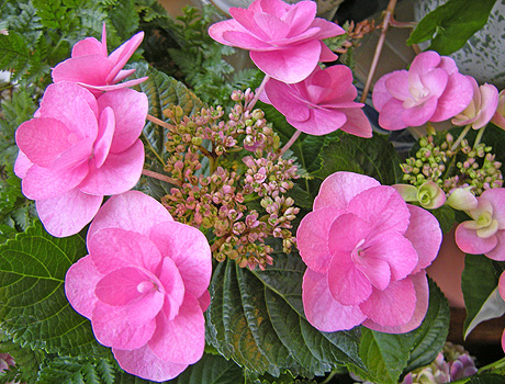 a0001354_2234233.jpg