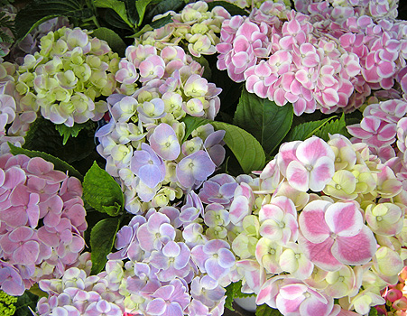 a0001354_223497.jpg