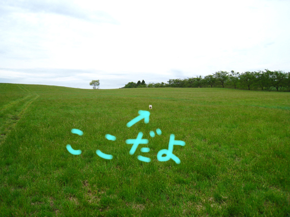 d0134156_15302486.jpg
