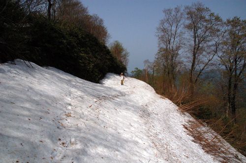 d0083859_17332792.jpg