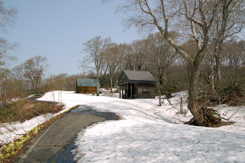 d0083859_1741385.jpg