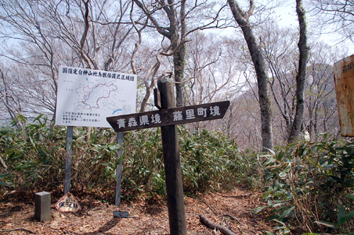 d0083859_17511061.jpg