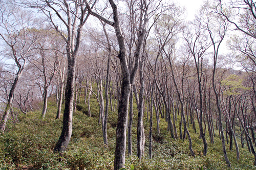 d0083859_18582743.jpg