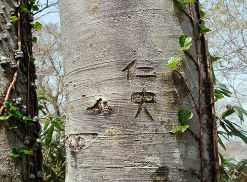 d0083859_19213220.jpg