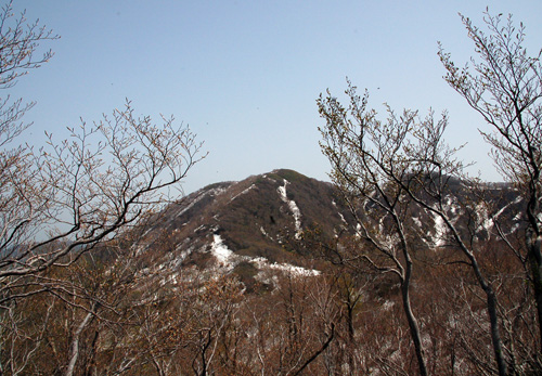d0083859_19235271.jpg