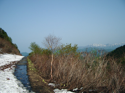 d0083859_19372241.jpg