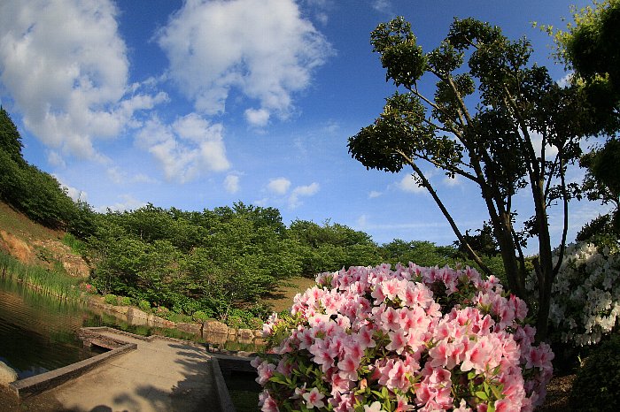 d0128465_9121798.jpg