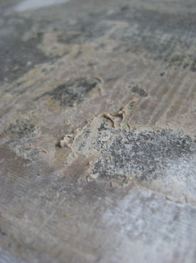 e0079166_3551751.jpg