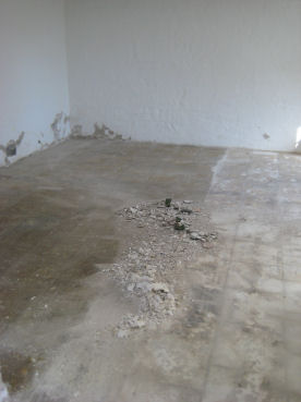 e0079166_355365.jpg