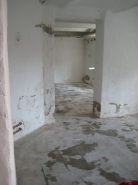 e0079166_3554976.jpg