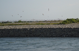 a0096669_21291526.jpg