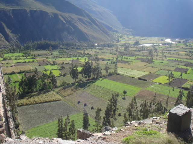f0160069_1859386.jpg