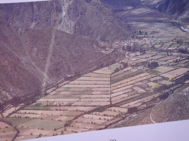 f0160069_1912271.jpg