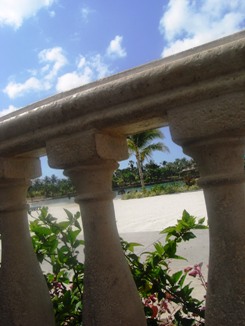 a0072371_8222225.jpg