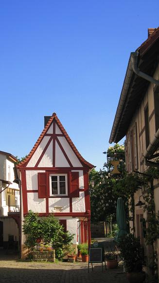 f0113371_334828.jpg