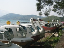 c0102375_4193761.jpg