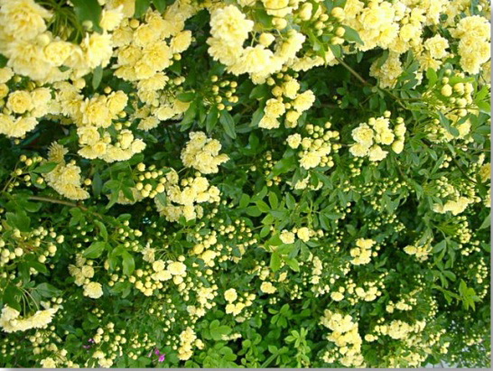 a0079880_073741.jpg
