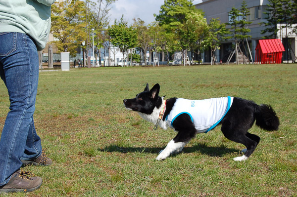d0101385_2340898.jpg