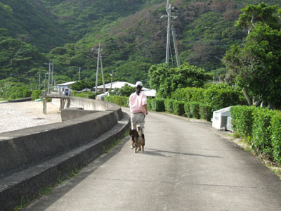 e0028387_17930.jpg