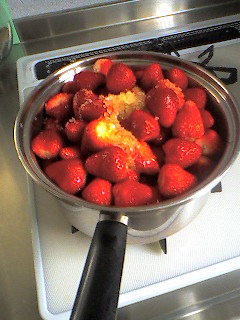 a0065800_10153568.jpg