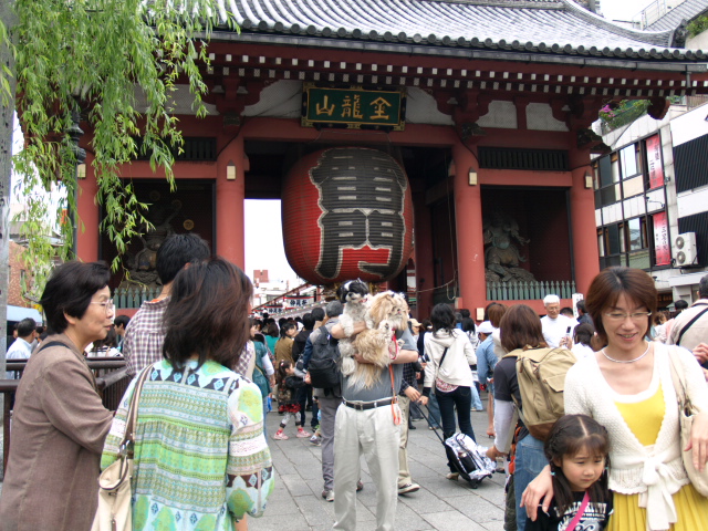 e0050801_1395149.jpg
