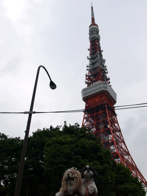 e0050801_2131796.gif