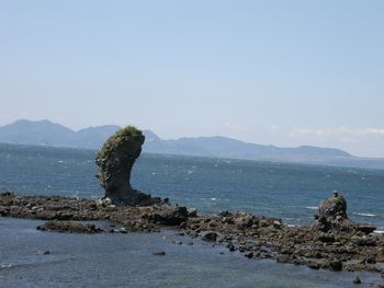 b0061107_10154437.jpg