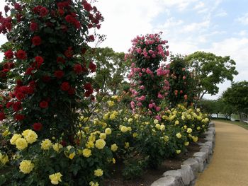 b0061107_10192878.jpg