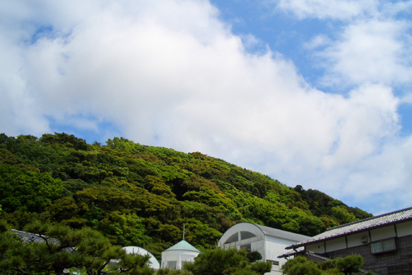 b0000608_2125114.jpg