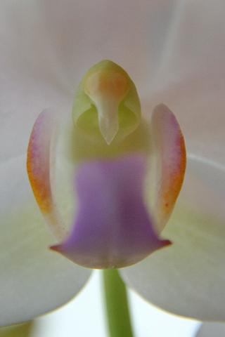 d0063314_23415672.jpg