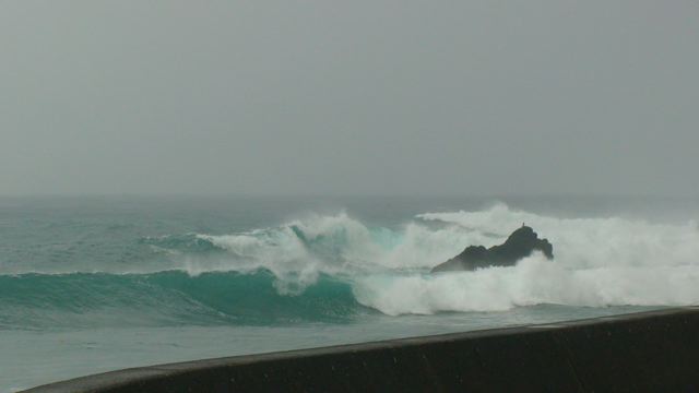 f0116314_20391175.jpg