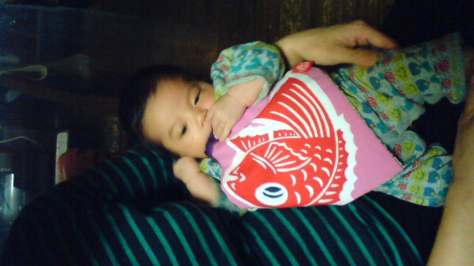 a0028016_230237.jpg