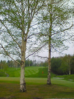 b0052816_23115310.jpg