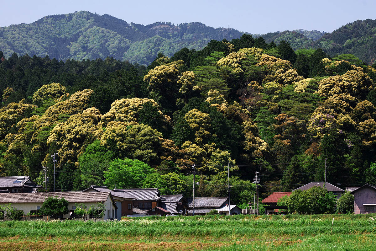 c0115616_250989.jpg