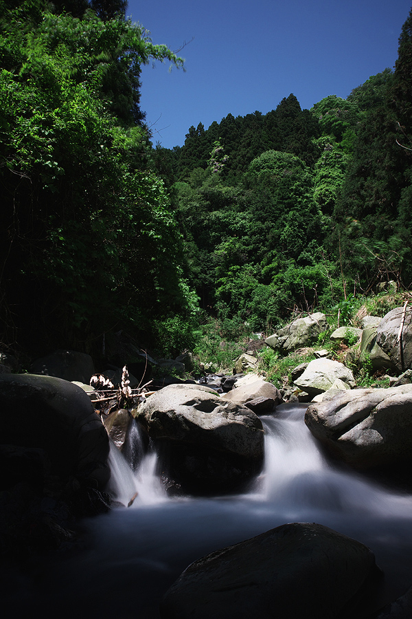 c0115616_2513311.jpg