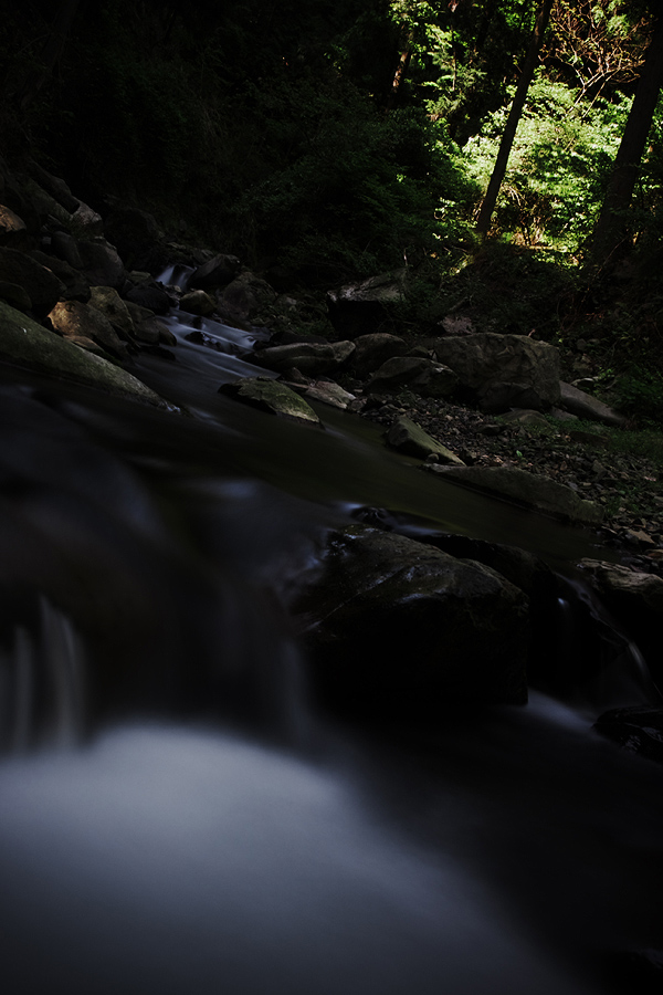 c0115616_2514151.jpg
