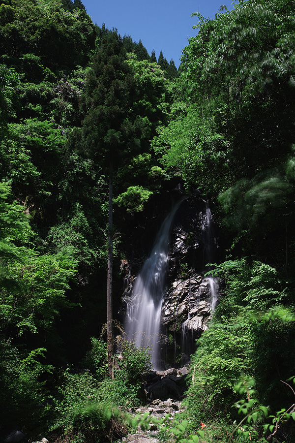 c0115616_2545052.jpg
