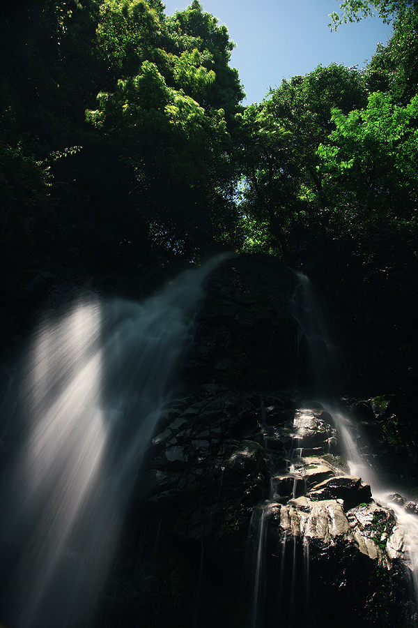 c0115616_255267.jpg