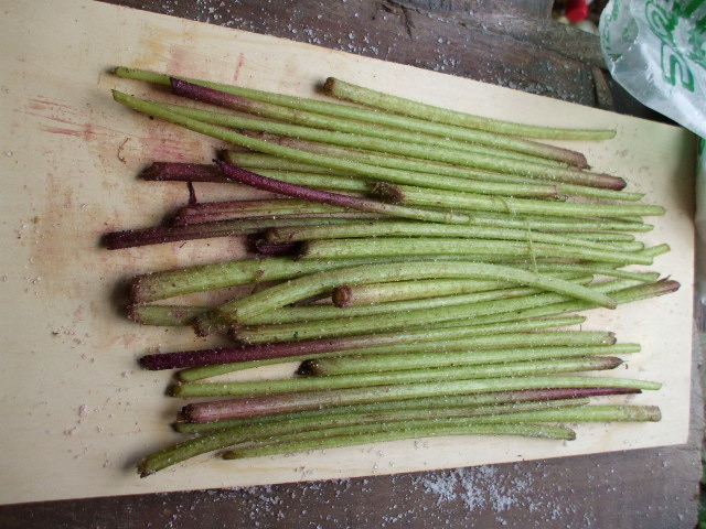 b0096418_17194929.jpg