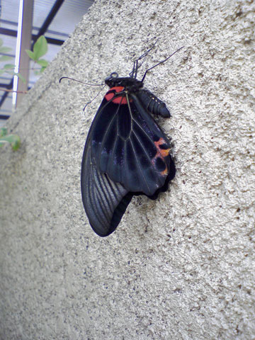 e0016120_22573553.jpg